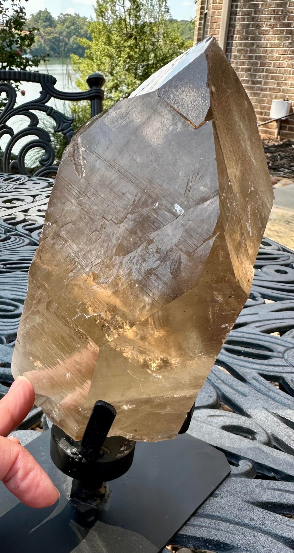Giant 2.2 kg Natural Elestial Citrine Crystal with Rainbows and Self Healing from Brazil 9 Inches Tall #NC7955