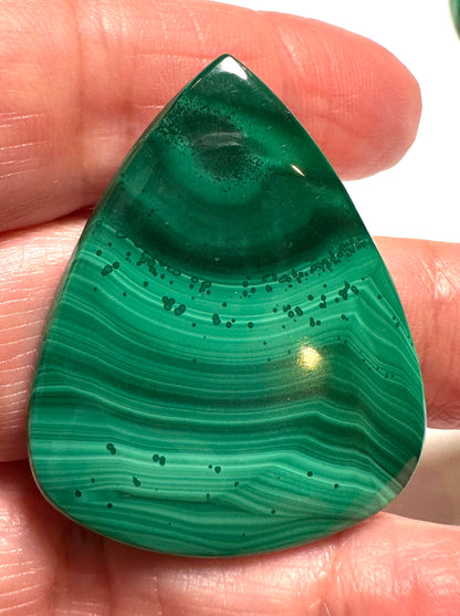 Malachite Teardrop Cabochon (Sizes Below) - SP7801