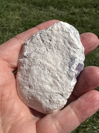Genuine Tiffany Stone from Utah Partially Polished Collector Specimen #NC7974