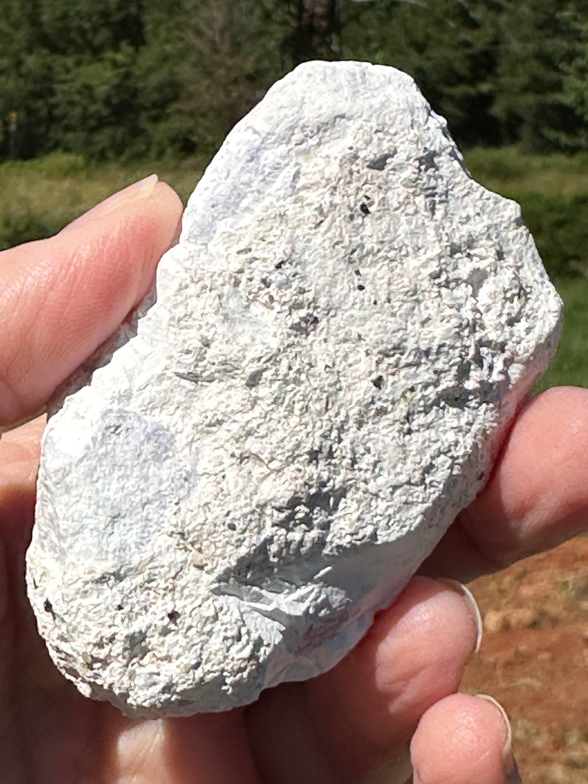 Genuine Tiffany Stone from Utah Partially Polished Collector Specimen #NC7972