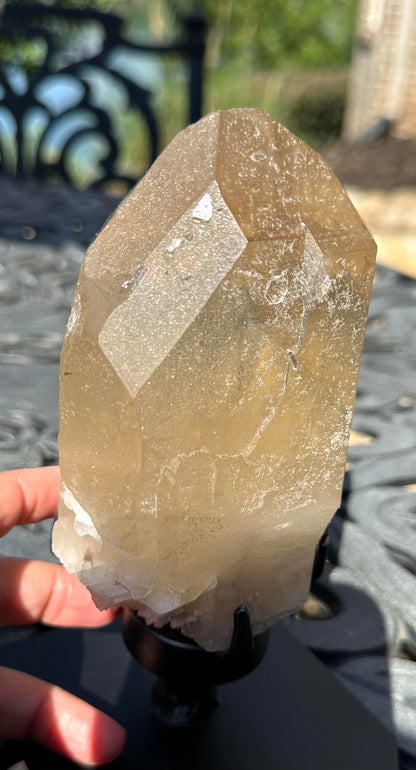 Totally Natural Citrine Crystal with Self-Healing, Etching, Lepidolite and Albite #MC7948