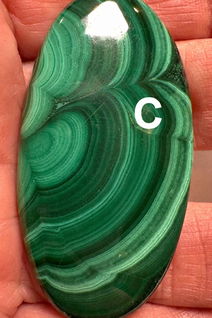 Malachite Oval Cabochons (Sizes below) – SP7800