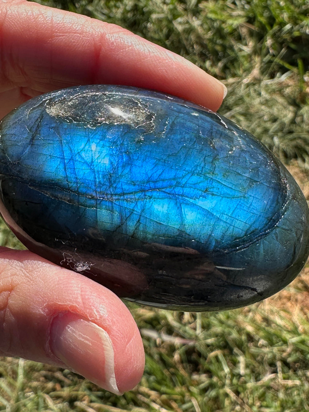 Blue Labradorite Palm Stone – Intense Blue Flash with Silver Sparkle #NC7985