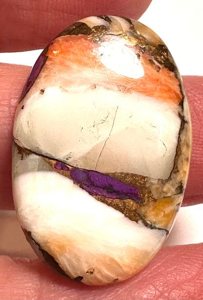 Spiny Oyster and Purple Turquoise Oval Cabochon 19x29mm #CAB7935
