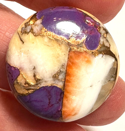 Spiny Oyster and Purple Turquoise Round Cabochon #CAB7933
