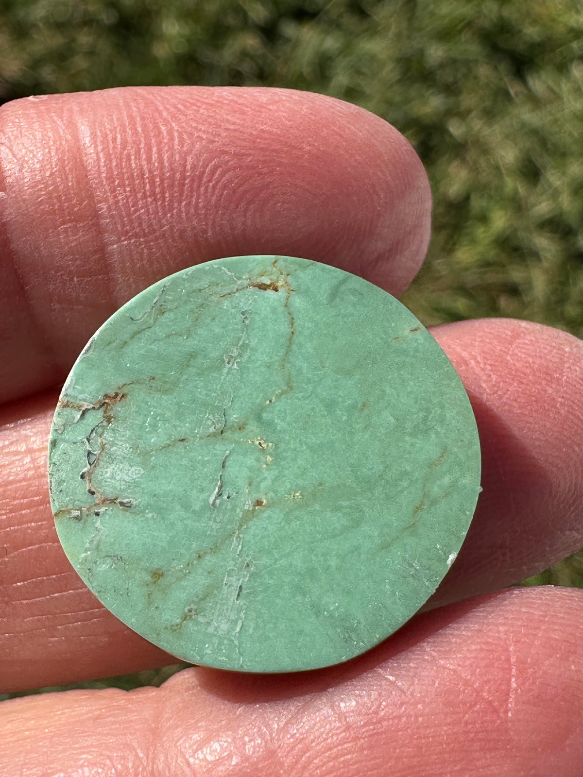 Hubei Turquoise Carved Cabochon 31mm #CAB7941