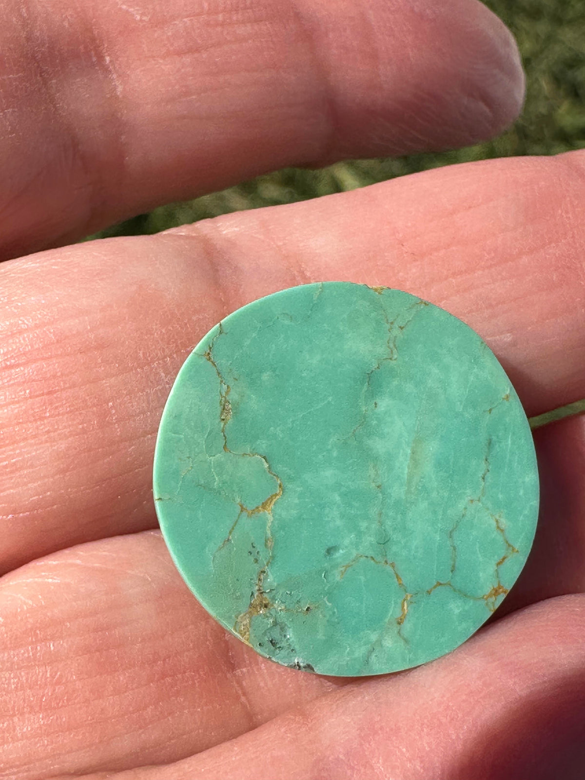 Hubei Turquoise Carved Cabochon 31mm #CAB7942