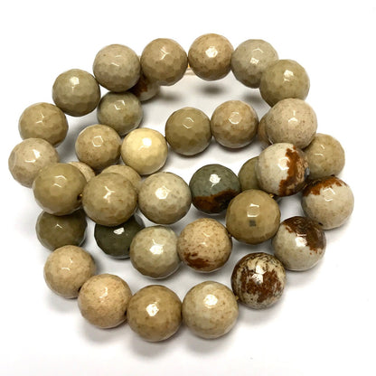 Faceted Cripple Creek Jasper Round Beads 10mm