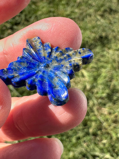 Starburst Carved Lapis Lazuli Cabochon 31 x 27 mm #CAB7945