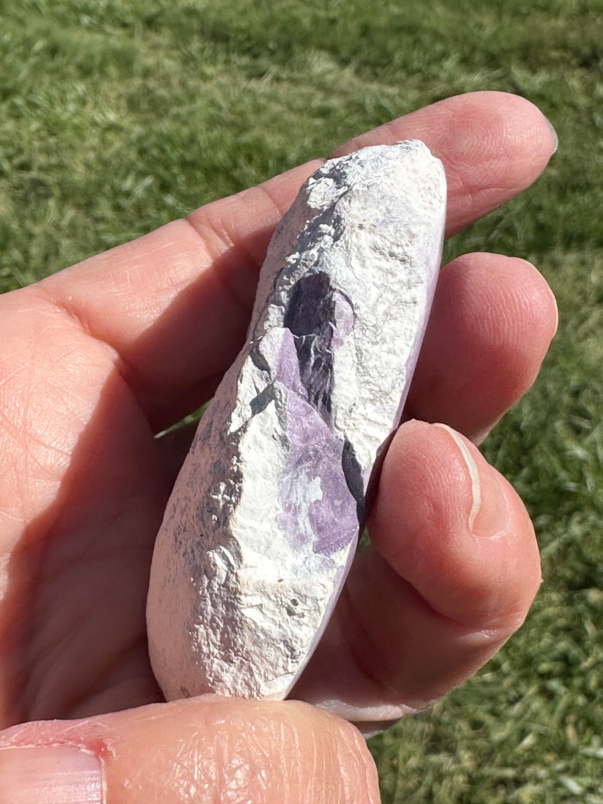 Genuine Tiffany Stone from Utah Partially Polished Collector Specimen #NC7974