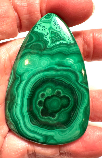 Malachite Teardrop Cabochon (Sizes Below) - SP7801