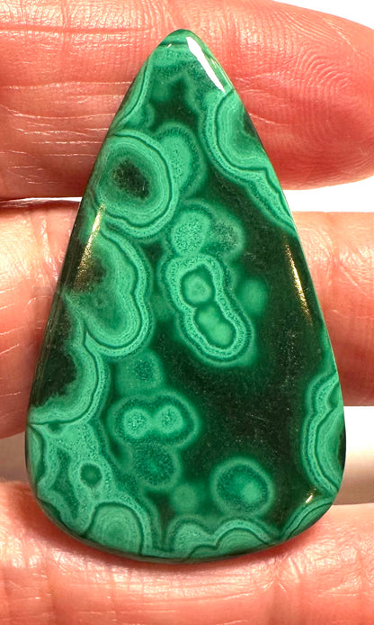 Malachite Teardrop Cabochon (Sizes Below) - SP7801