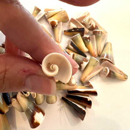 Vintage Carved Shell Cone Beads – Large Top-Drilled Beads/Pendants - #VB6566