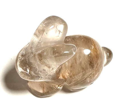 Golden Rutile Quartz  Crystal Pocket Bunny — Brazil NC7736