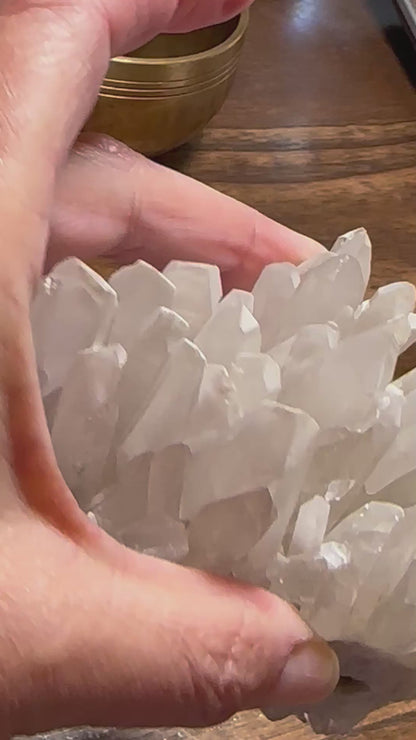 Brazilian Quartz Crystal Cluster with Snow White Lodalite Inclusions #NC7964