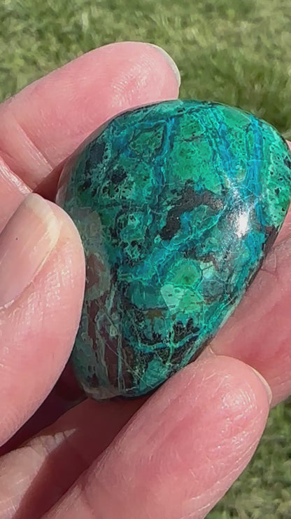 Peruvian Chrysocolla Pocket Stone with Beautiful Blue Green Matrix 38mm NC7971