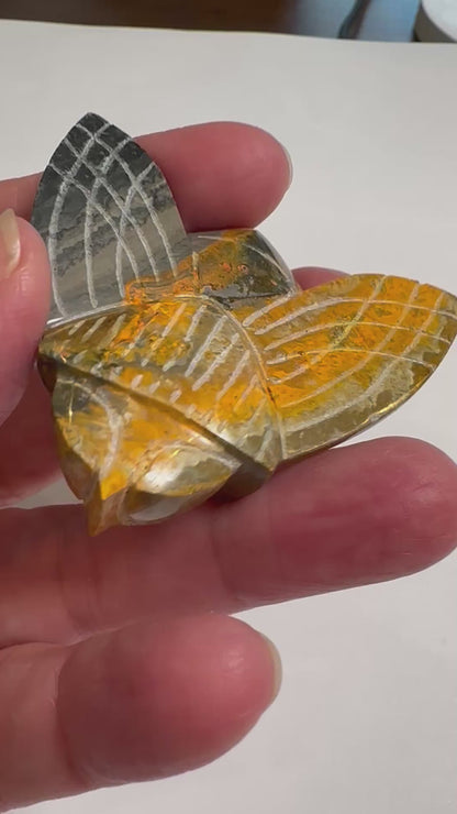 Hand Carved Bumblebee Jasper Bumblebee 2½ x 2 Inches #NC7694