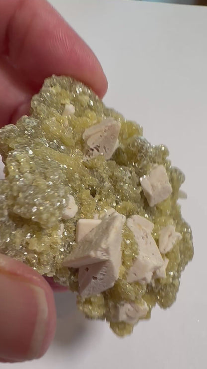 Golden Mica with Albite Feldspar Specimen 2½" × 1¾" #NC7920