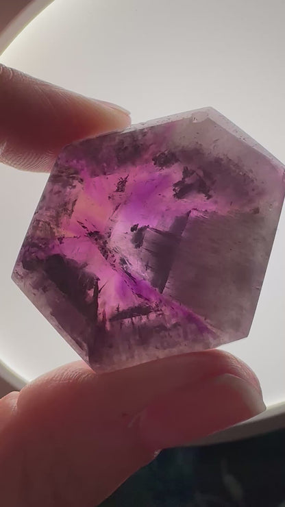 Rare Natural Faceted Polished Trapiche Amethyst Slice with Citrine 38 x 34mm #NC7904