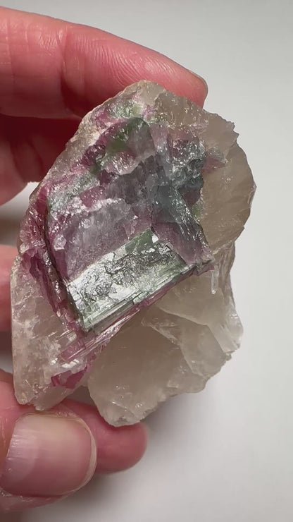Natural Collector Grade Watermelon Tourmaline in Smoky Quartz from Brazil 96 gm, #NC7942