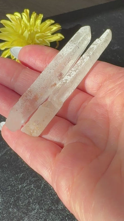 Singing Lemurian Laser Sets-NC7720