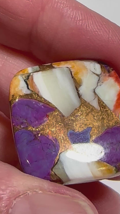 Spiny Oyster and Purple Turquoise Cabochon 24x26mm #CAB7934