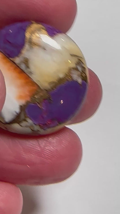 Spiny Oyster and Purple Turquoise Round Cabochon #CAB7933