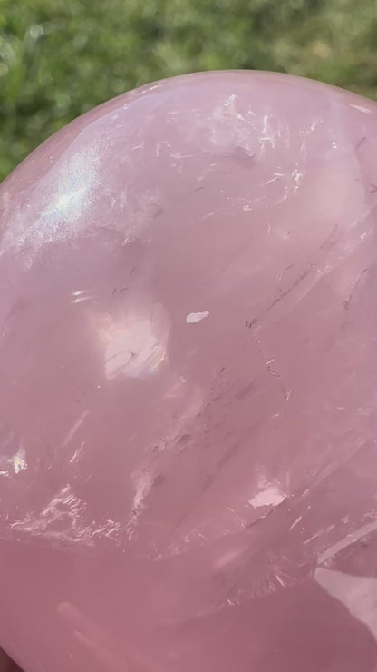 Star Rose Quartz Palm Stone with Asterism NC7990