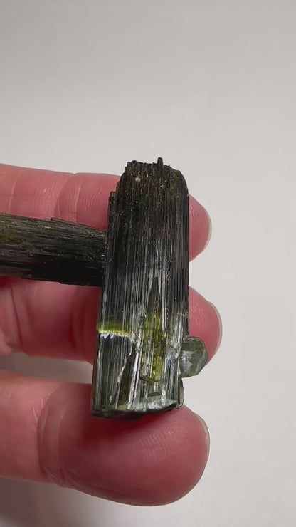 Natural Collector Grade Intersecting Green Tourmaline Crystal from Brazil #NC7937