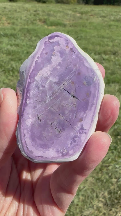 Genuine Tiffany Stone from Utah Partially Polished Collector Specimen #NC7974