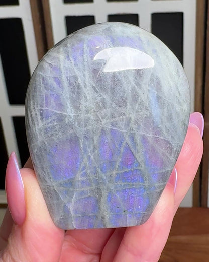 Labradorite Freeform - 2.1" x 1.8" - NC7681