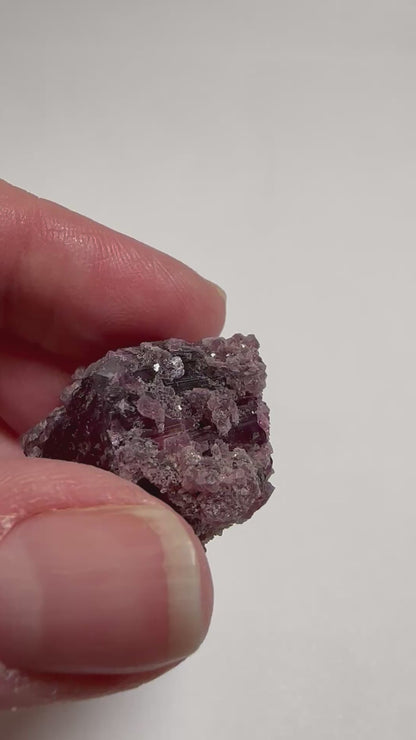 Natural Collector Grade Pink Tourmaline Crystal Cluster from Brazil #NC7935