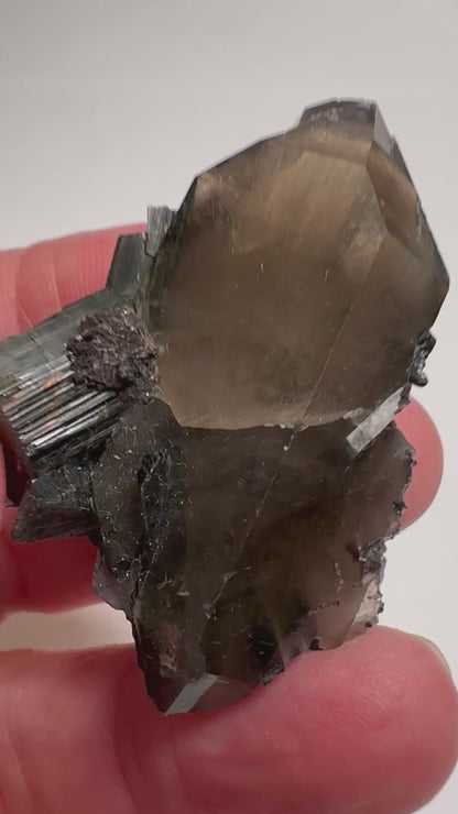 Natural Collector Grade Elestial Smoky Quartz with Green Tourmaline from Brazil 32grams #NC7939