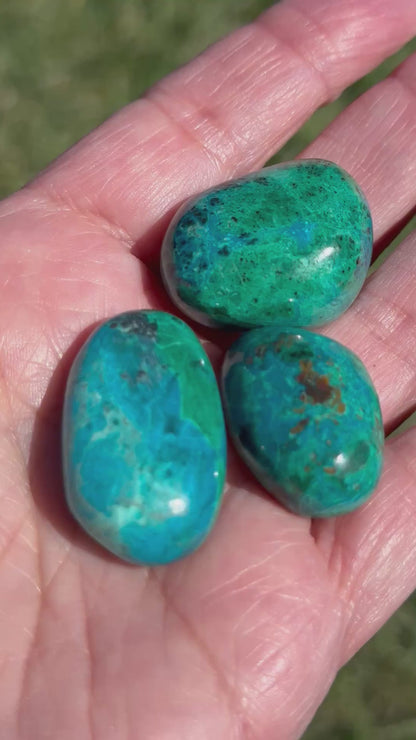 Peruvian Chrysocolla Polished Pocket Stone Set of 3 #NC7966