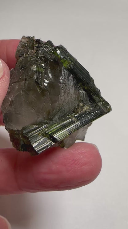 Natural Collector Grade Green Tourmaline in Quartz Crystal from Brazil #NC7936