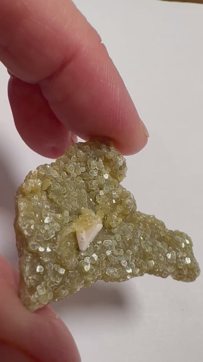 Golden Mica with Albite Feldspar 1 1/2" #NC7915