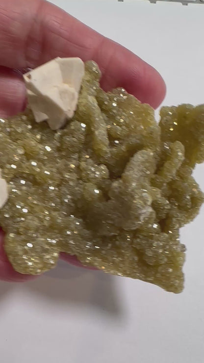 Golden Druzy Quartz with Calcite Showpiece 3" -  #NC7921