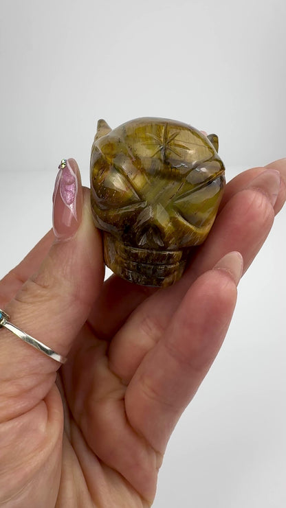 Master Carved Tiger Eye Cosmic Angel Skull #888 1 1/4 x 1 1/2" - NC7671