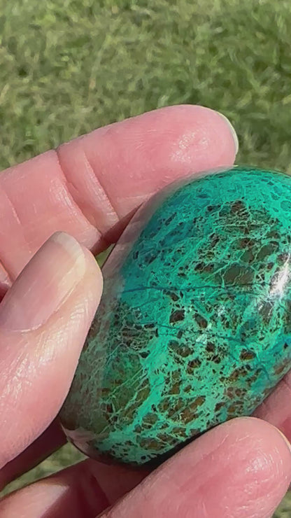 Natural Chrysocolla Pocket Stone from Brazil 47mm #NC7969