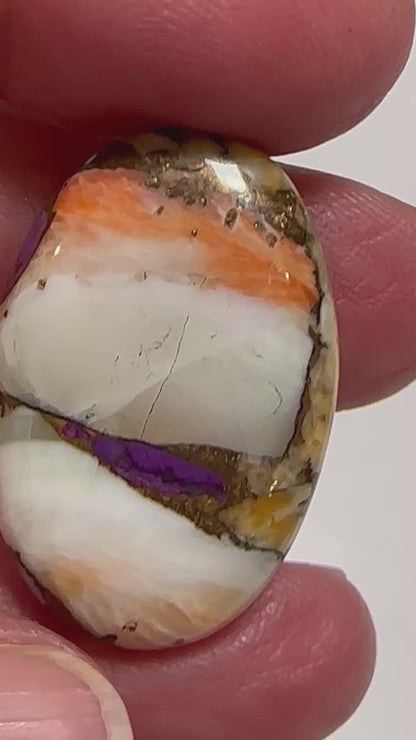 Spiny Oyster and Purple Turquoise Oval Cabochon 19x29mm #CAB7935