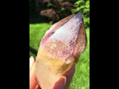 Golden Amethyst Lemurian with Polished Tip-3 1/4 x 1 3/4"-NC7439